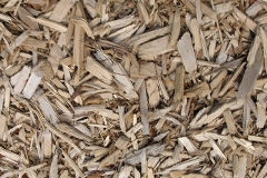 biomass boilers Cambrose